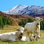 Alpenfrieden -