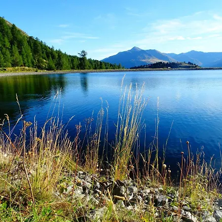 Alpenfrieden - Apartman *