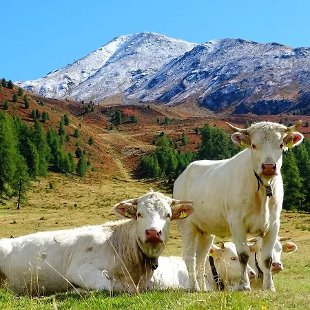 Alpenfrieden -